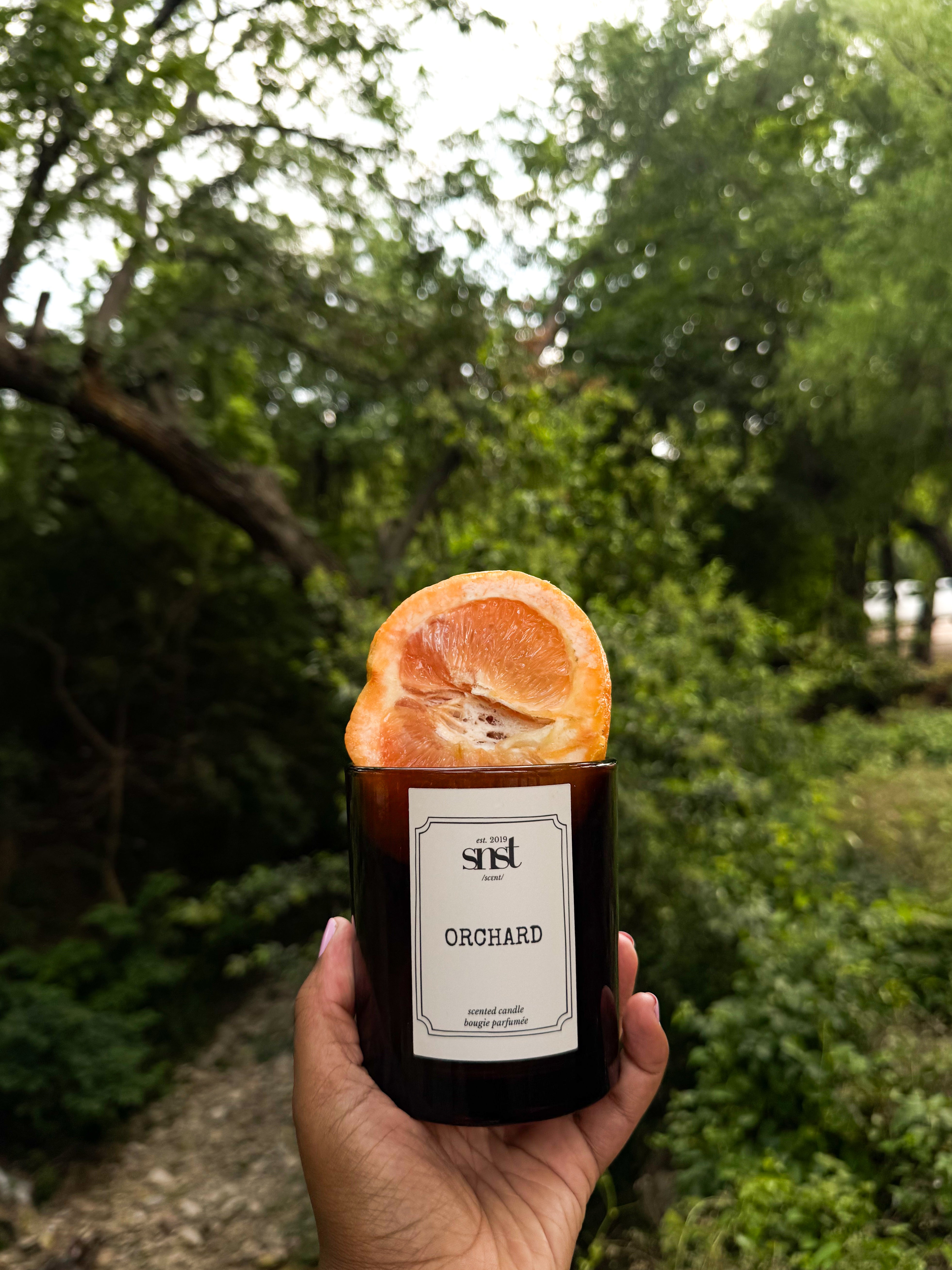 Orchard